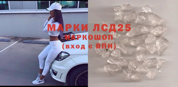 стафф Осинники
