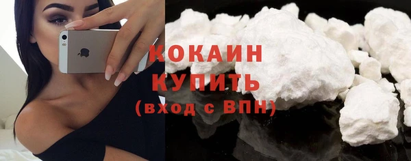 стафф Осинники