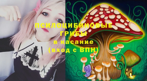 стафф Осинники