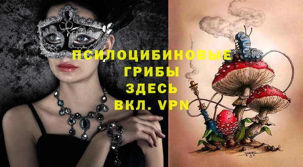 прущая мука Осташков