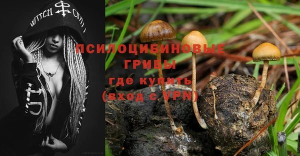 прущая мука Осташков