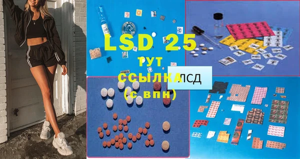 стафф Осинники