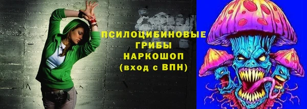 прущая мука Осташков
