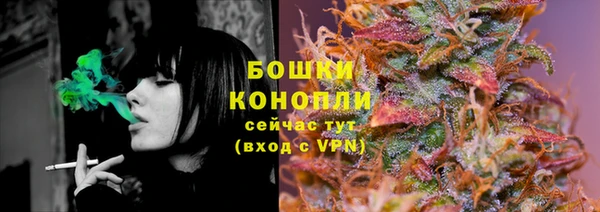стафф Осинники