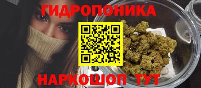бошки Сланцы