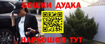 стафф Славгород