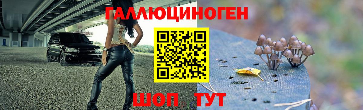 Псилоцибиновые грибы мухоморы Павловский Посад
