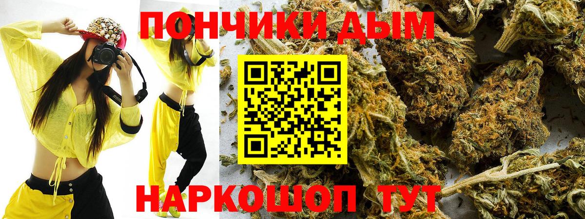 Бошки Шишки марихуана Павловский Посад